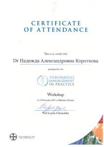 Сертифікат 13