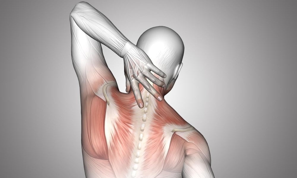     Боли между лопатками — это сердце или спина?