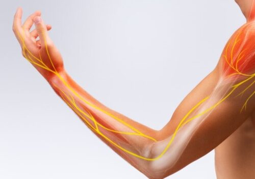 Як впливає тривала іммобілізація на нервову провідність?