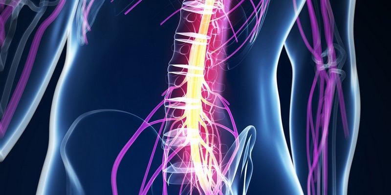 Остеохондроз: какие симптомы и как его лечить?